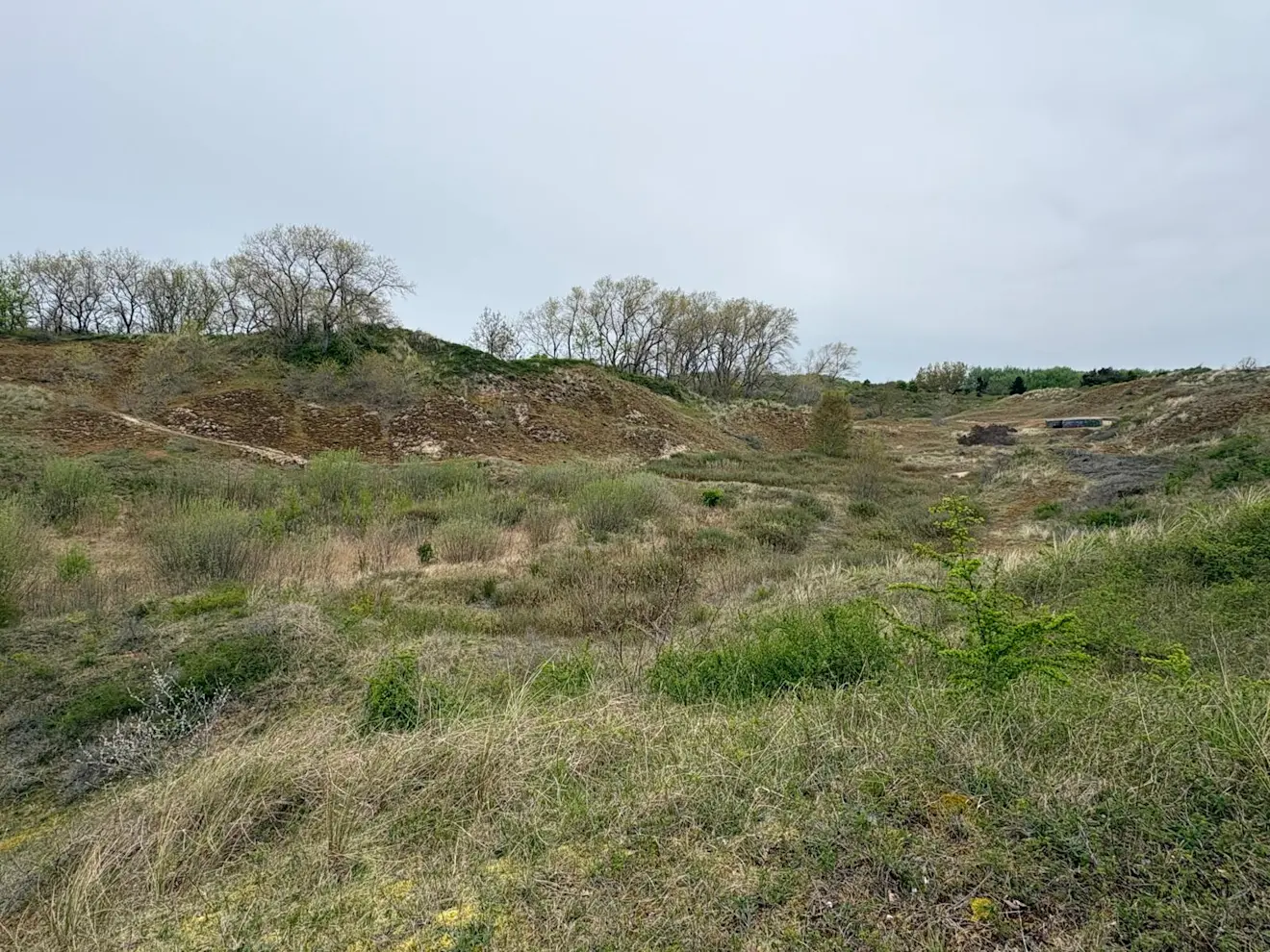 Nog een foto uit vallei Bray Dunes 1