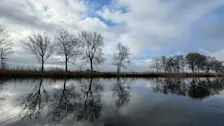 Wolken en de zon streden vochtend lang om de eer - Jolanda Bakker