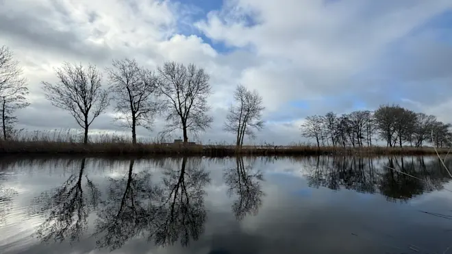 Wolken en de zon streden vochtend lang om de eer - Jolanda Bakker