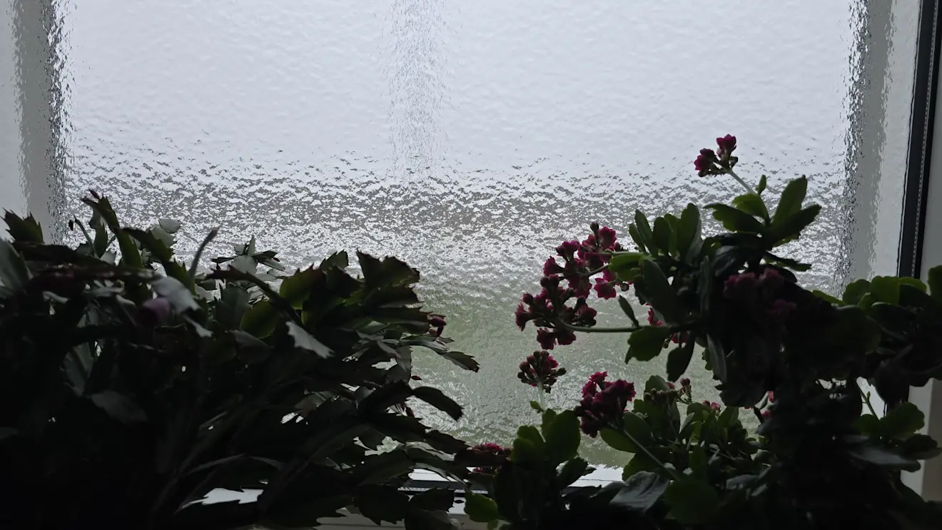 IJs op de ramen in Roodeschool - Jannes Wiersema