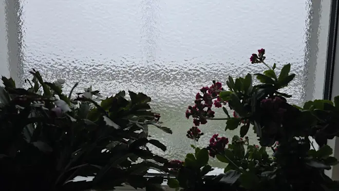 IJs op de ramen in Roodeschool - Jannes Wiersema