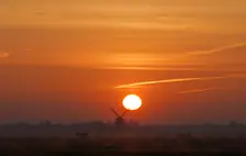 In de lente komt de zon iedere dag een beetje hoger aan de hemel en wordt daarbij steeds sterker - Joost Mooij