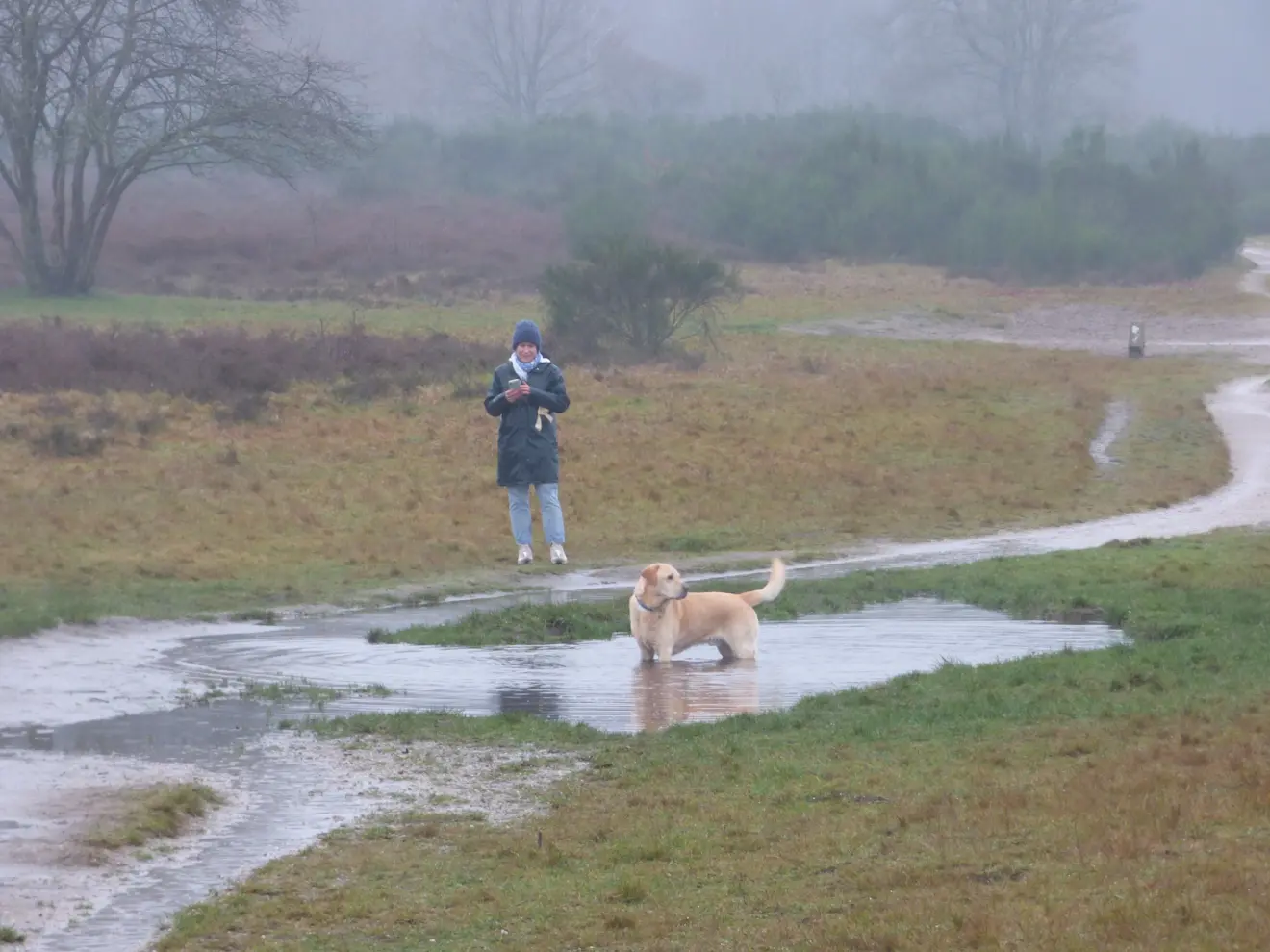Ook op de heide bij Hilversum regende het flink - Chris Meewis