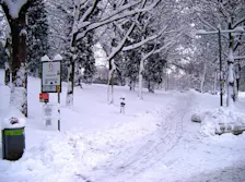 Sneeuw in Wenen - Janos Korom