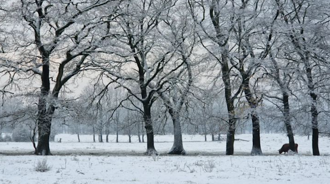 Niet alle winters tijdens een El Niño verlopen in Europa zacht - Reinout van den Born
