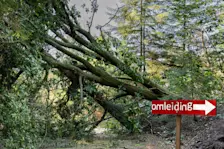 Bomen blokkeren een ATB-route, een inderhaast geplaatst bordje wijst een alternatieve route aan - Karin Broekhuijsen.
