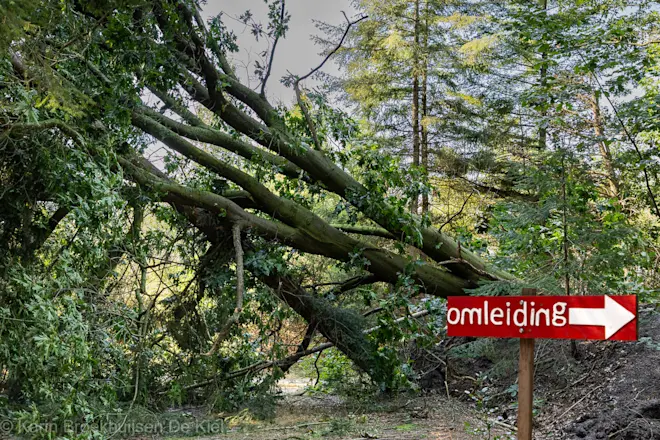 Bomen blokkeren een ATB-route, een inderhaast geplaatst bordje wijst een alternatieve route aan - Karin Broekhuijsen.