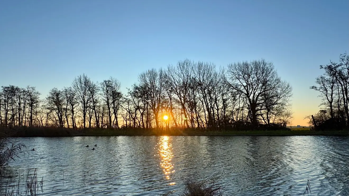 Een straffe oostenwind voert koudere en steeds drogere lucht aan - Jolanda Bakker
