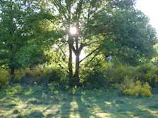 De zomer van 2026 werpt zijn schaduw vooruit - Chris Meewis