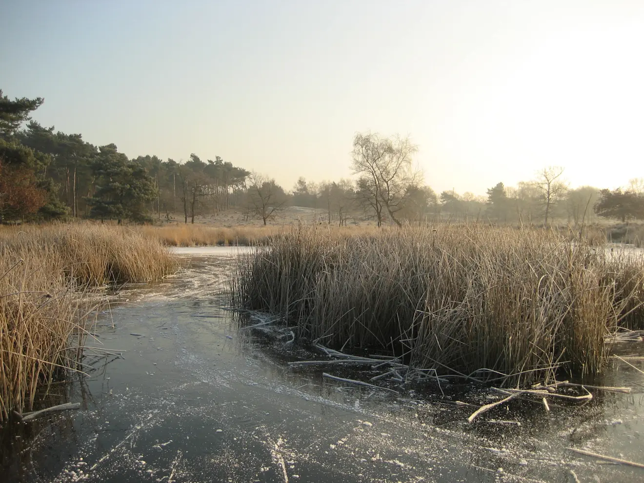 IJs op de Hatertse vennen in december 2008 - Grieta Spannenburg
