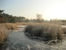IJs op de Hatertse vennen in december 2008 - Grieta Spannenburg