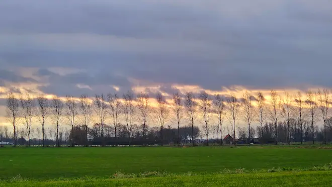 Het is de komende dagen wisselvallig en geregeld onstuimig weer - Nely van Frankenhuyzen