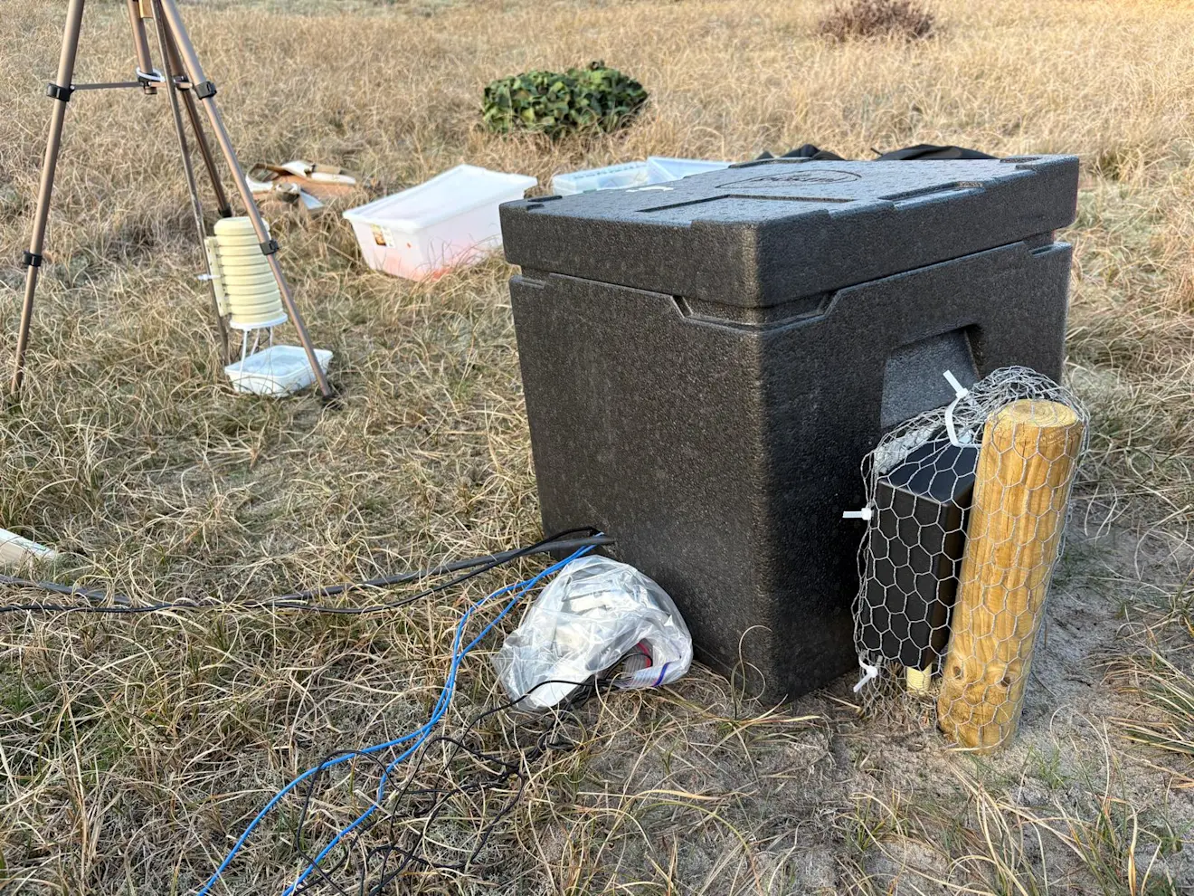 Alles bij elkaar zoeken - Pieter Bliek