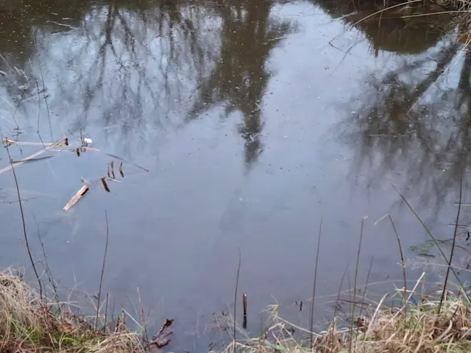 IJs op de vijver van Tinus Beckers in Lichtenvoorde, bij temperaturen boven nul. Hoe kan dat? - Tinus Beckers
