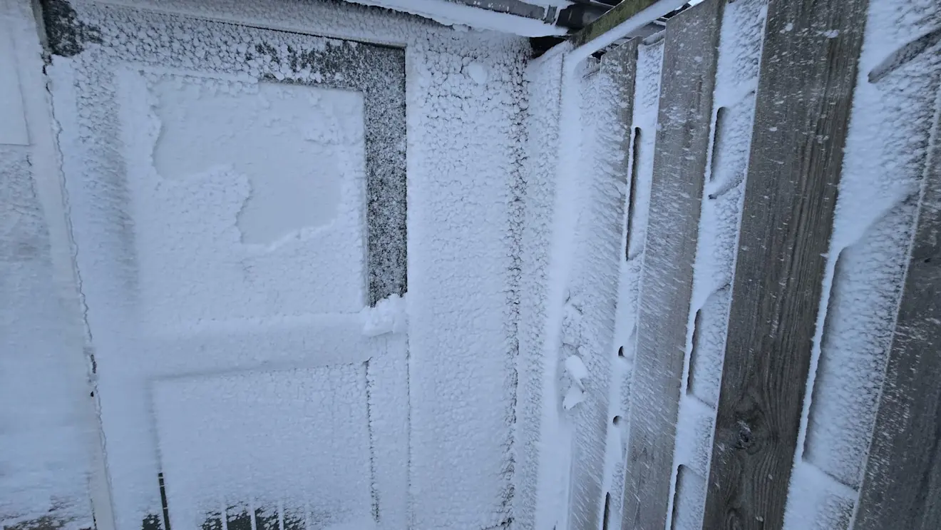 Dit krijg je ook als de sneeuw stuift - Jannes Wiersema