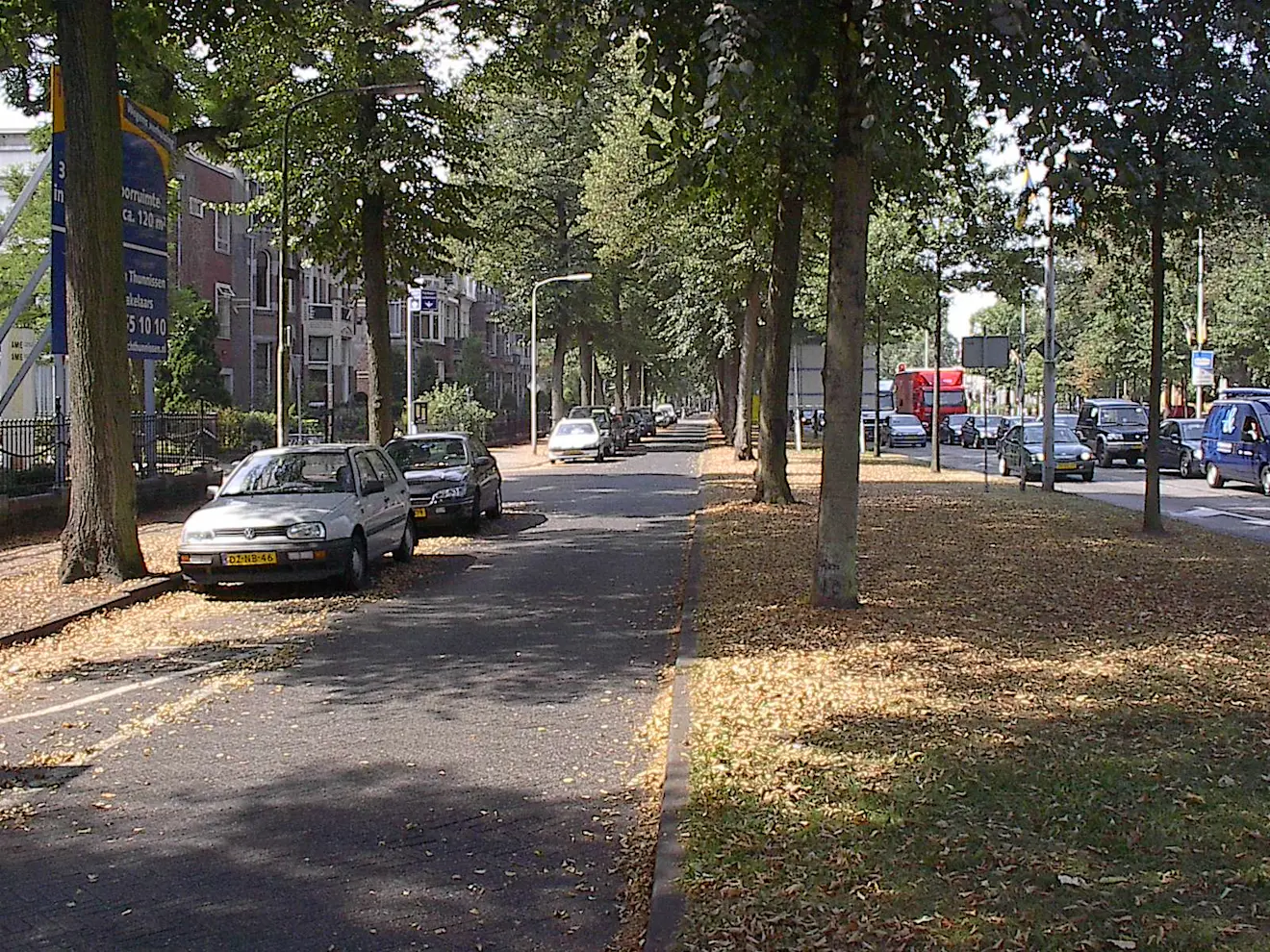 Bladeren vielen door de hitte en de droogte van de bomen - Reinout van den Born