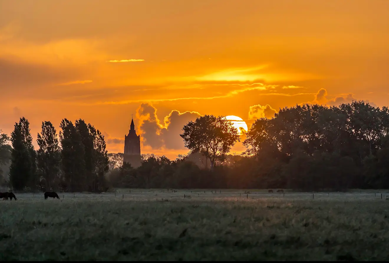 Rustige start van de dag in Asperen - John Oomen