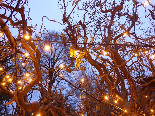 Een beetje licht tijdens de donkere dagen voor kerst - Chris Meewis