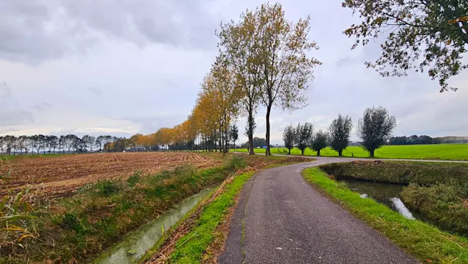 Op veel plaatsen is het vandaag bewolkt. In het zuidoosten gaat het ook regenen - Nely van Frankenhuyzen