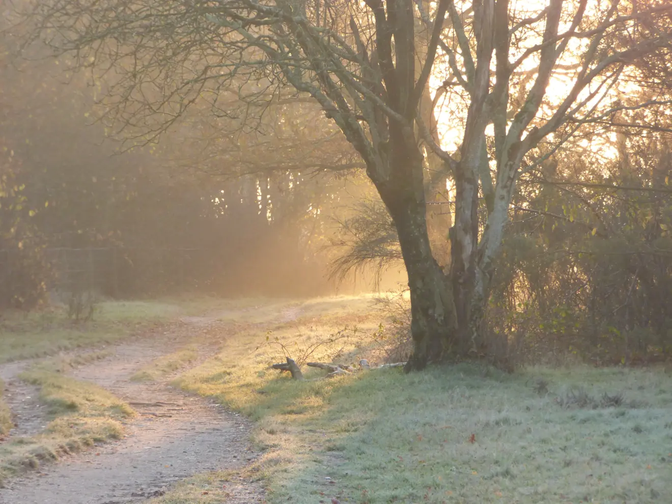 De uitkomst van de verwachting voor de komende winter is voorlopig nog in nevelen gehuld - Chris Meewis