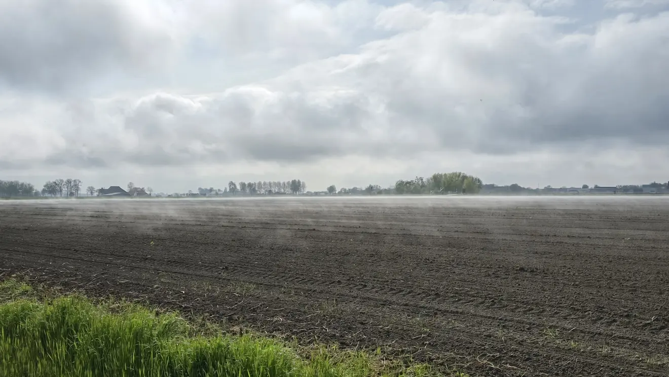 In het noordoosten viel gisteren eerst nog wat regen. Toen de zon daarna even doorbraak, stonden de velden meteen te 'dampen' - Jannes Wiersema