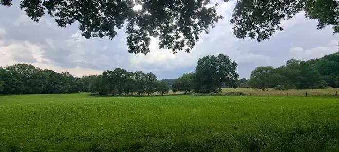 Groene velden bij Arnhem - Grieta Spannenburg