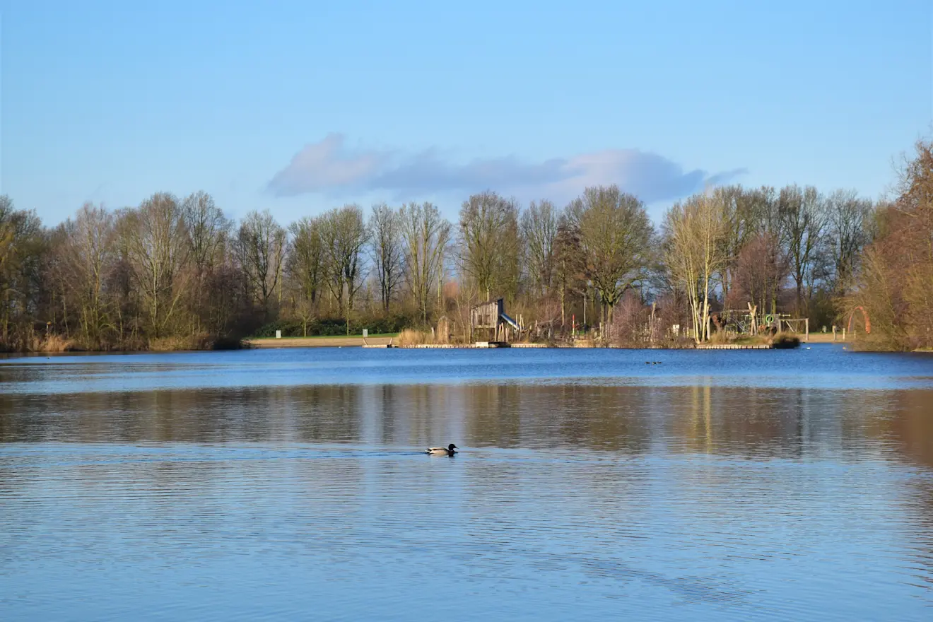 Het was in delen van Oost-Nederland gisteren bijna lenteachtig - Cynthia van Leusden