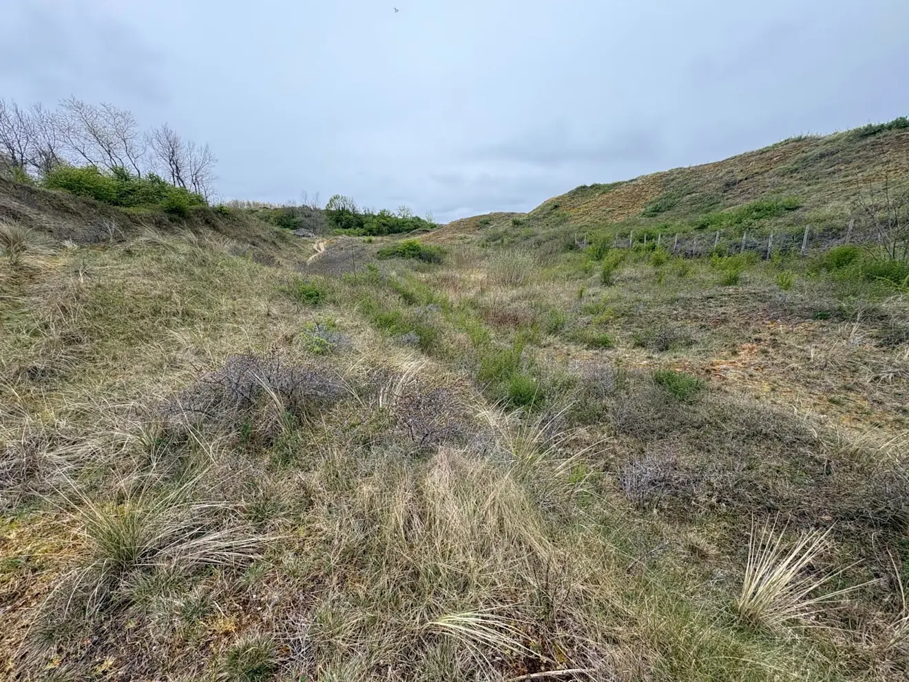 De vallei Bray Dunes 1 - Pieter Bliek
