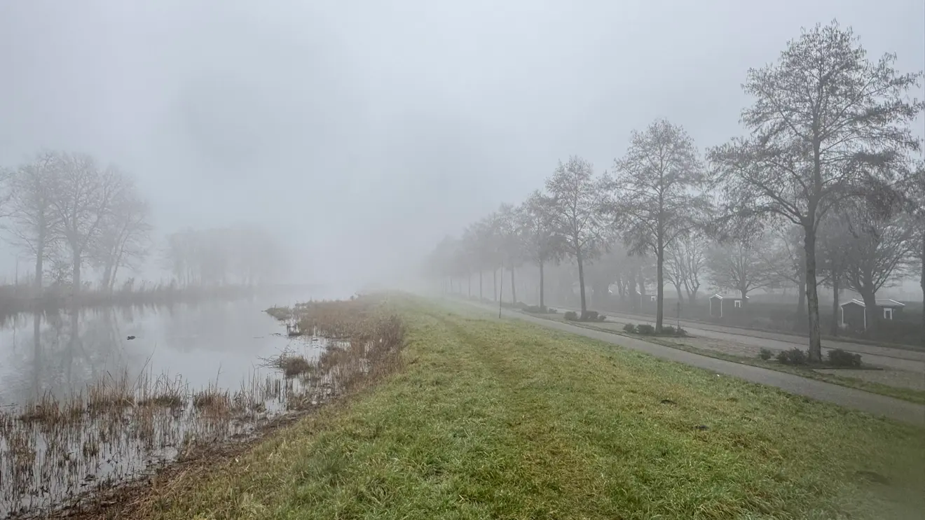De dag begon vandaag zacht en grijs - Jolanda Bakker