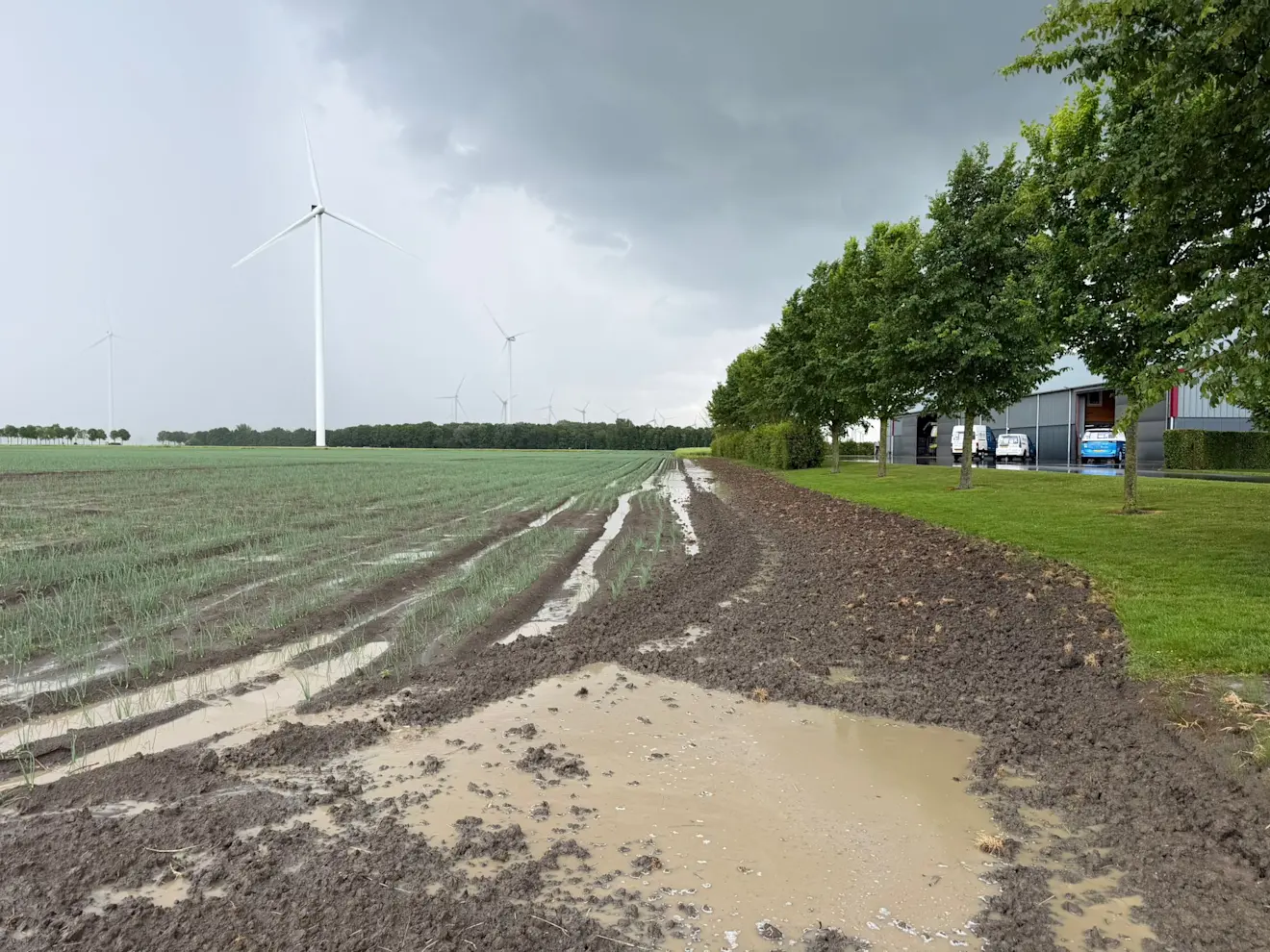 Na de bui in Geefsweer - via Eltje Bos in Appingedam