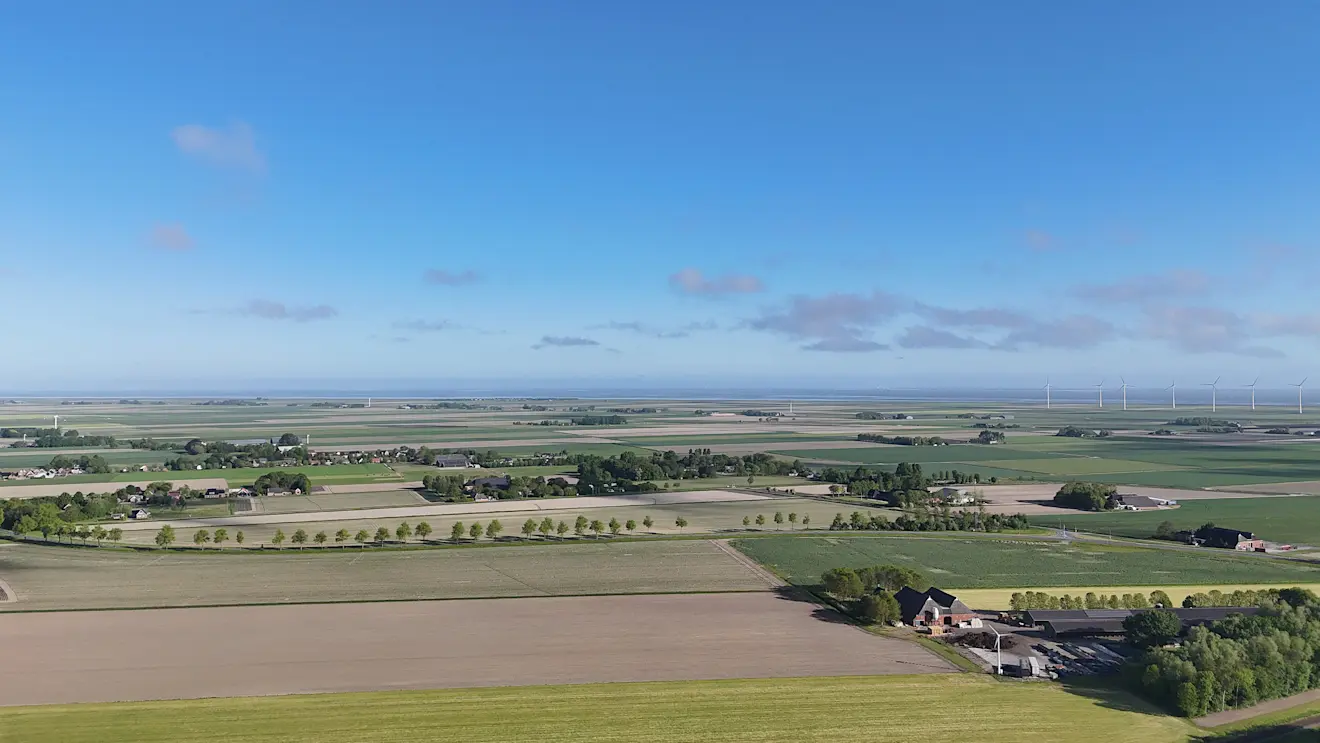 Het gemaaide gras in het noordoosten begint door de droogte steeds bruiner te worden - Jannes Wiersema