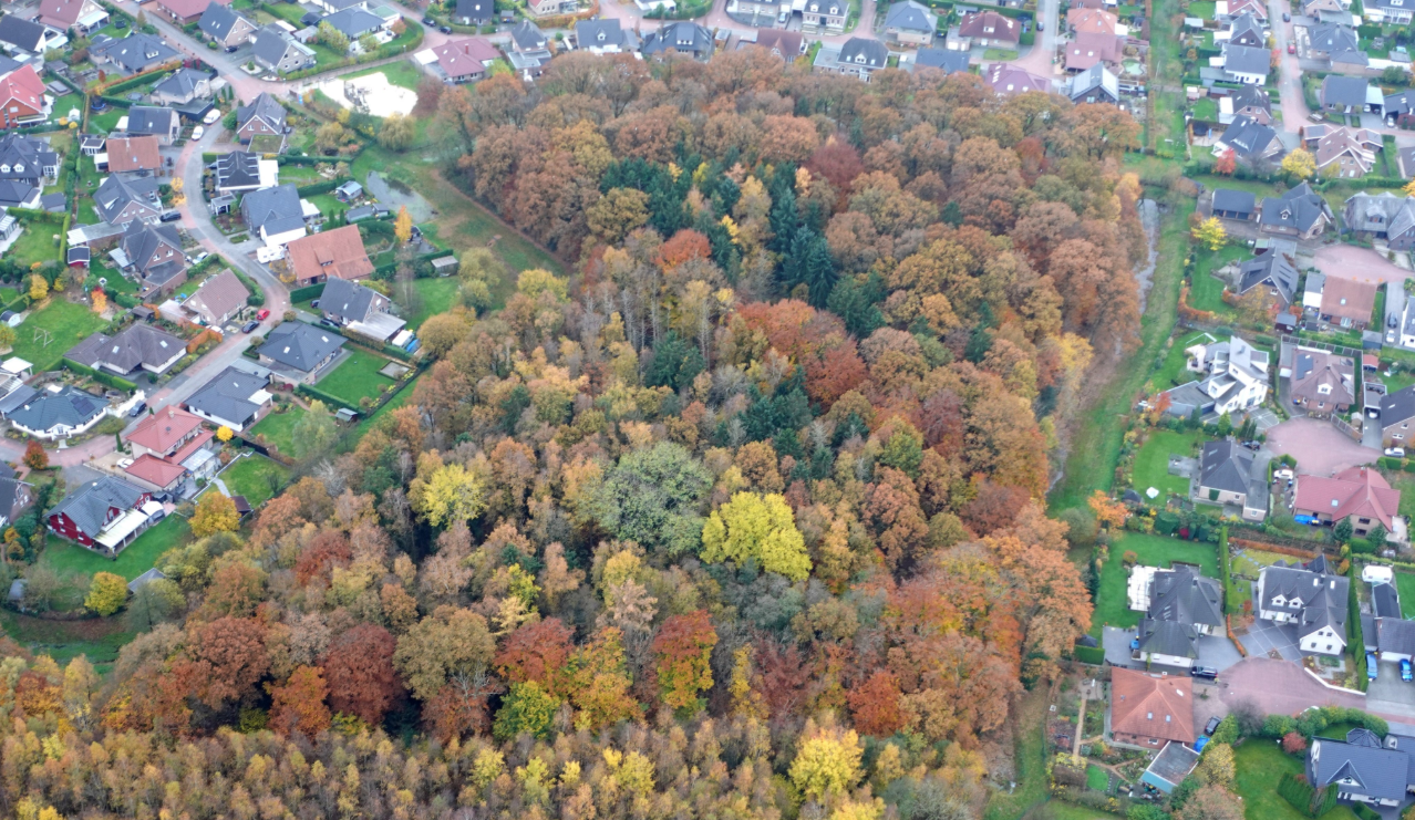 Herfstkleuren vanuit een luchtballon - Tonny Morsink