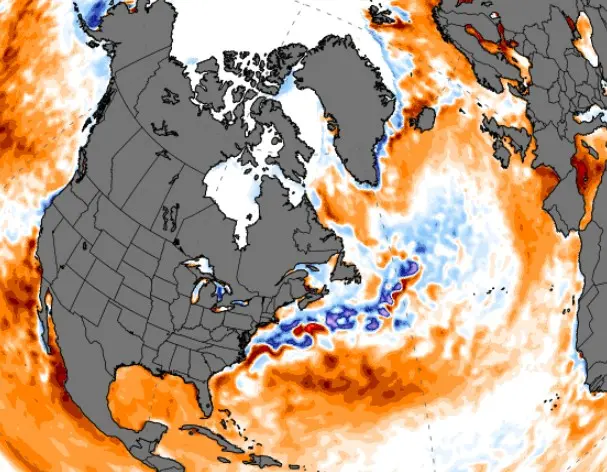 De 'koude blob' op de oceaan, met daaromheen warm zeewater - Climate Reanalyzer