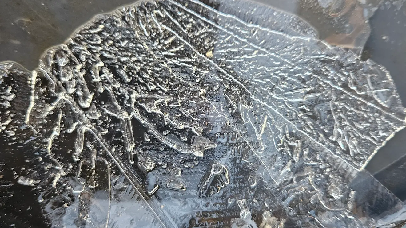 IJsbloemen - Nely van Frankenhuyzen