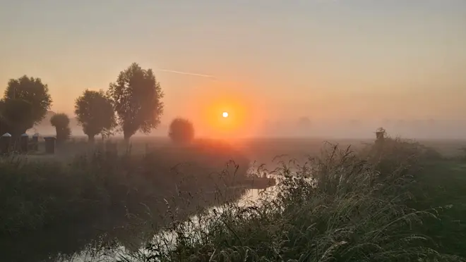 Een mistige start van de ochtend in de buurt van Beusichem - Nely van Frankenhuyzen