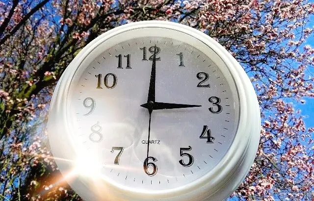 De zomertijd gaat de komende nacht in. Om 2 uur gaat de klok een uur vooruit - Joyce Derksen