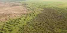 De Grote Groene Muur in de Sahel - Wikipedia