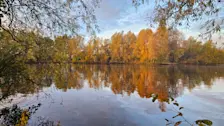 Herfst in de buurt van Beusichem - Nely van Frankenhuyzen