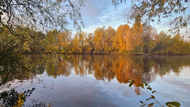Herfst in de buurt van Beusichem - Nely van Frankenhuyzen