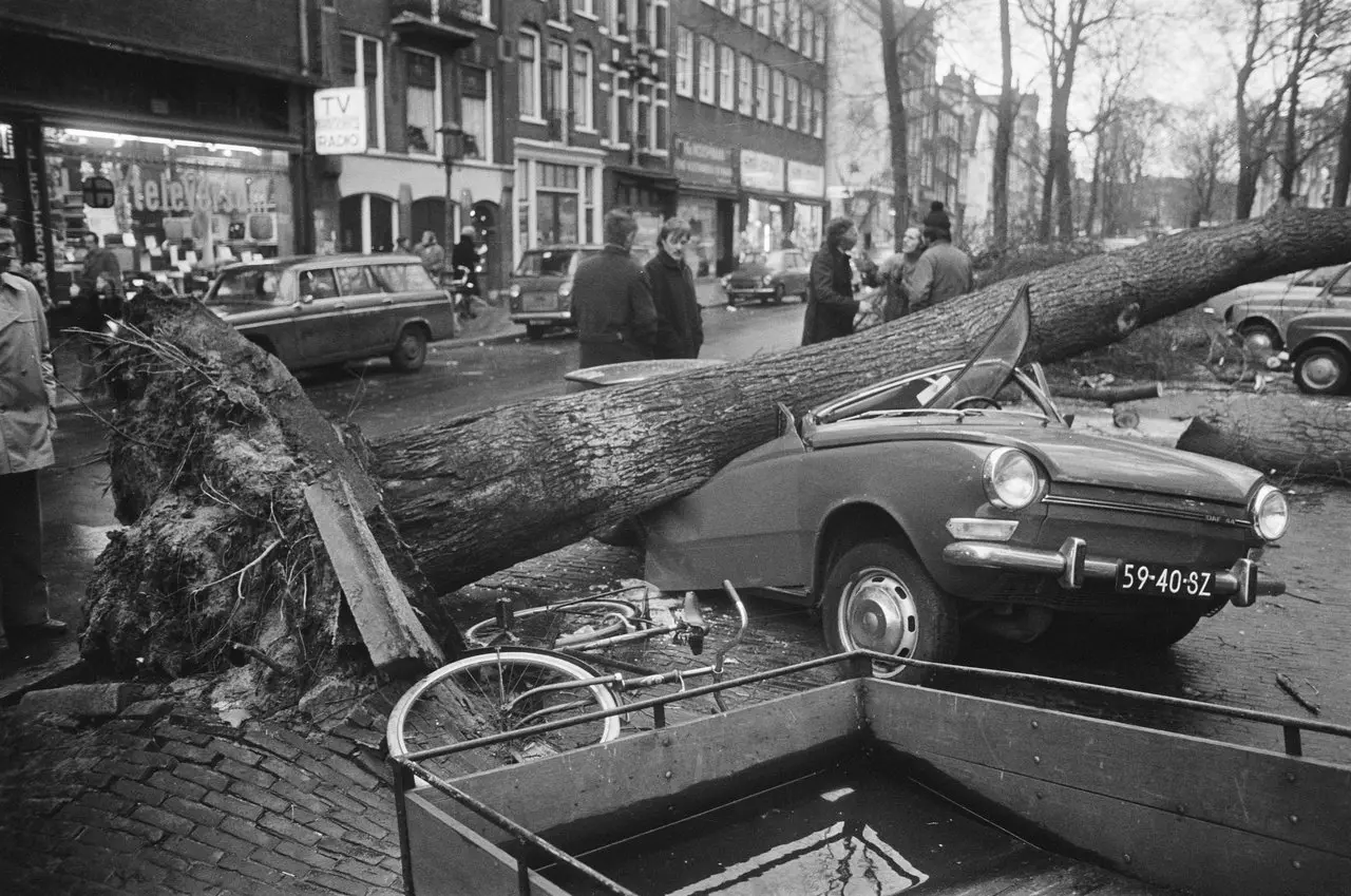 Omgewaaide boom in Amsterdam, tijdens de storm van 2 en 3 januari 1976 - R. Mieremet / Anefo