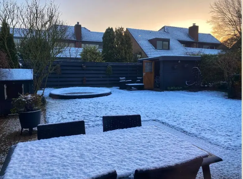 Sneeuw in de tuin in Stiphout, op 11 januari 2025 - Arjan Ehlert