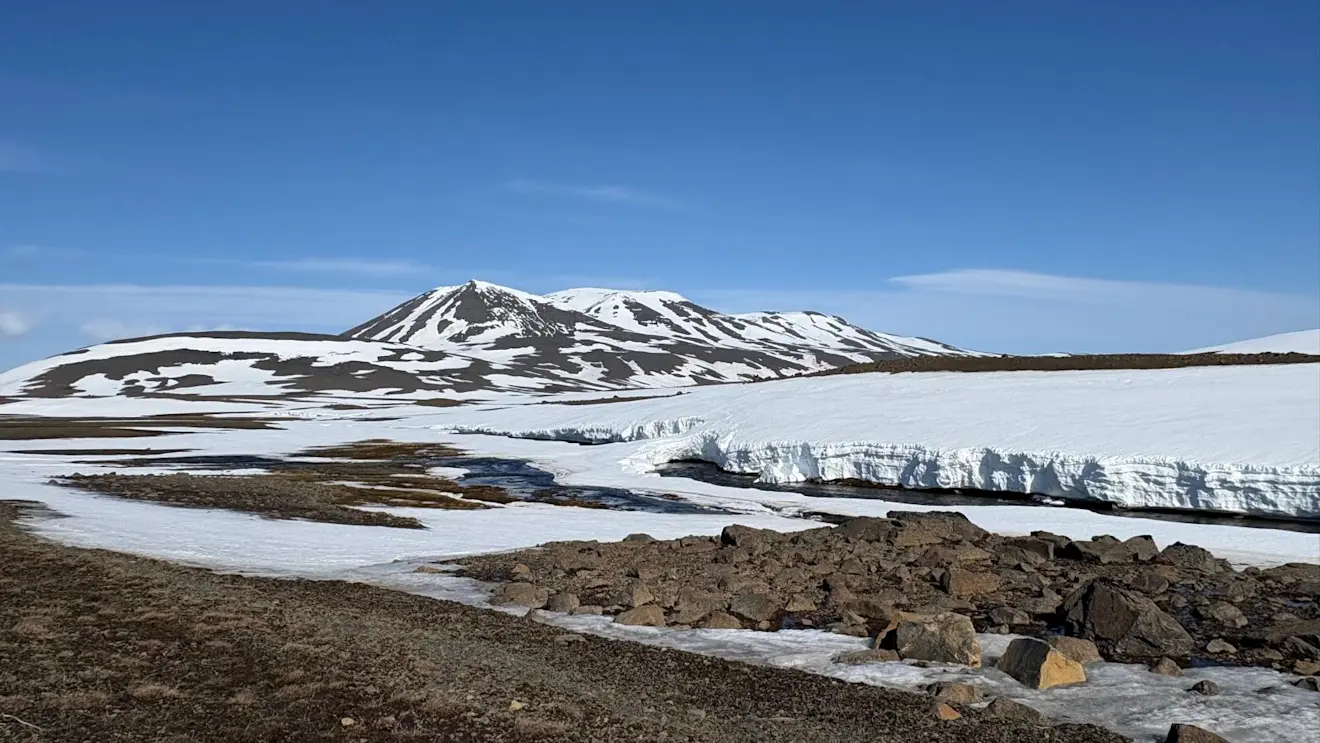 Nog vele sneeuwresten - Pieter Bliek