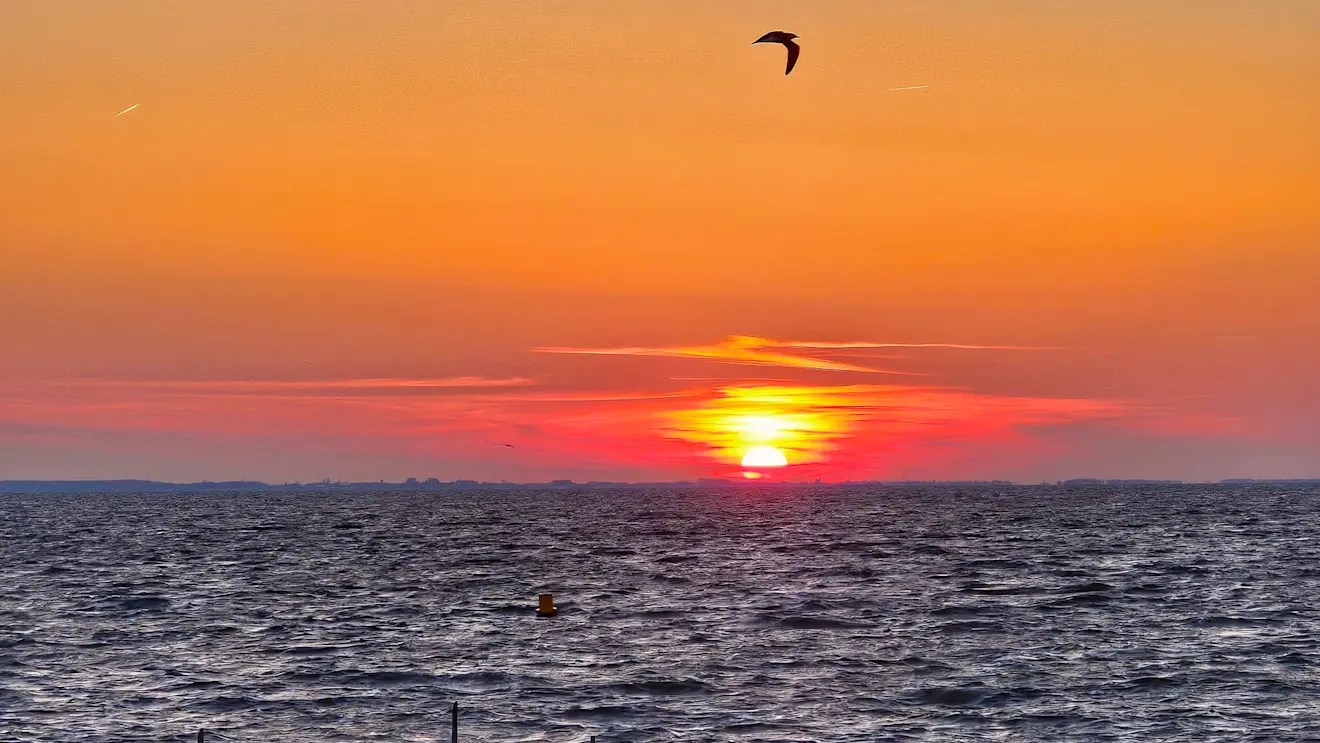 Zonsopkomst boven het IJsselmeer - Jannine Sanders - Kroeze