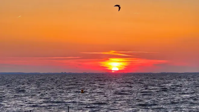 Zonsopkomst boven het IJsselmeer - Jannine Sanders - Kroeze