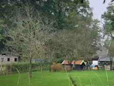 Fruitbomen zonder blad in Haaksbergen - Erwin Lankheet
