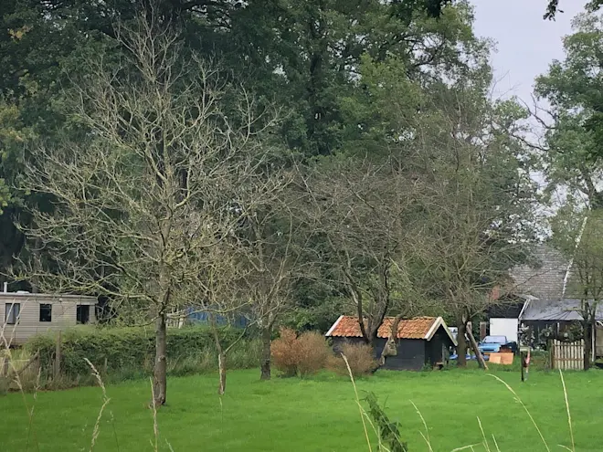 Fruitbomen zonder blad in Haaksbergen - Erwin Lankheet