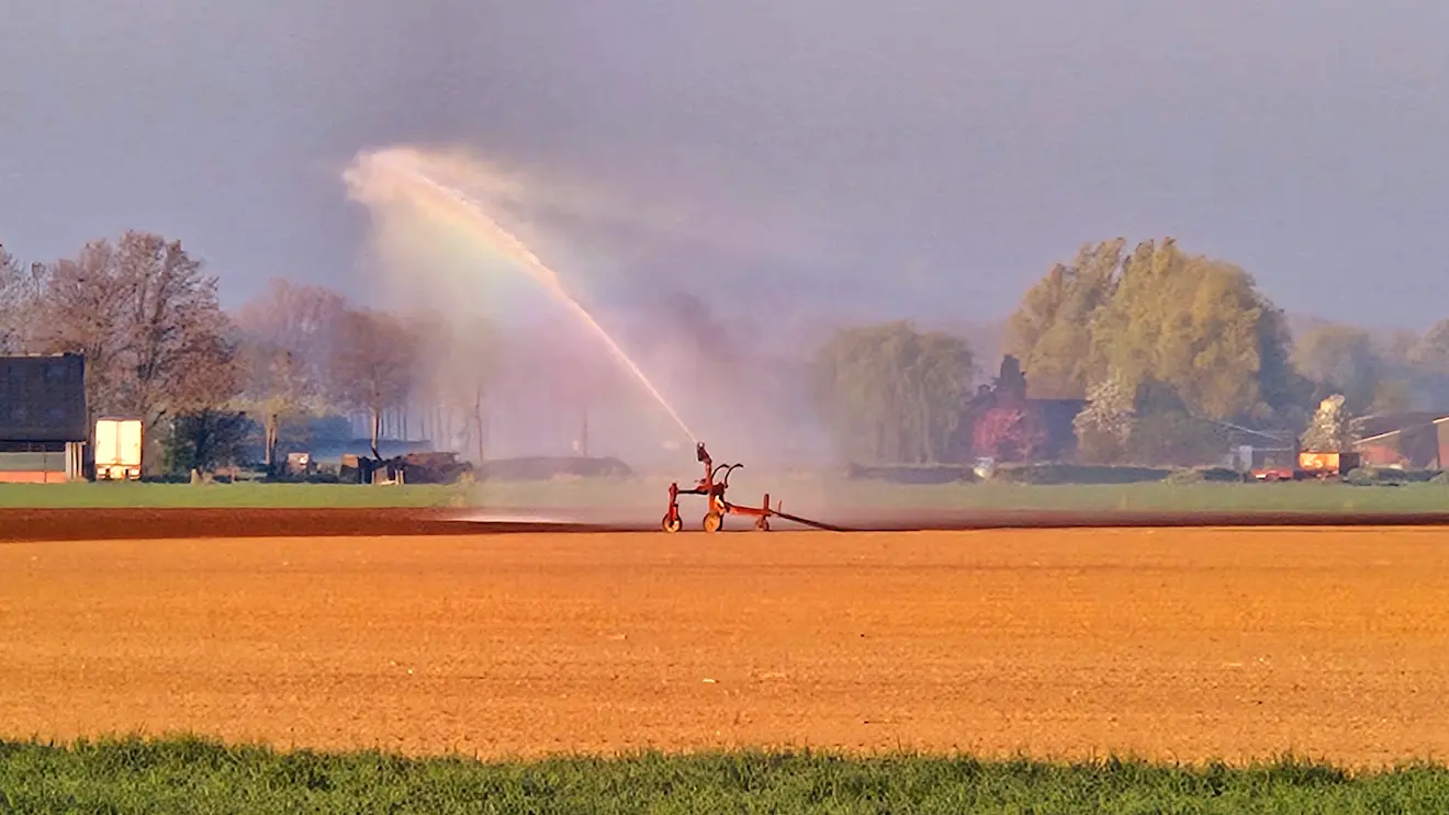 Droogte in Nederland - Nely van Frankenhuyzen