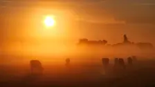 Fraaie zonsopkomst in Kamperveen - Jannine Sanders