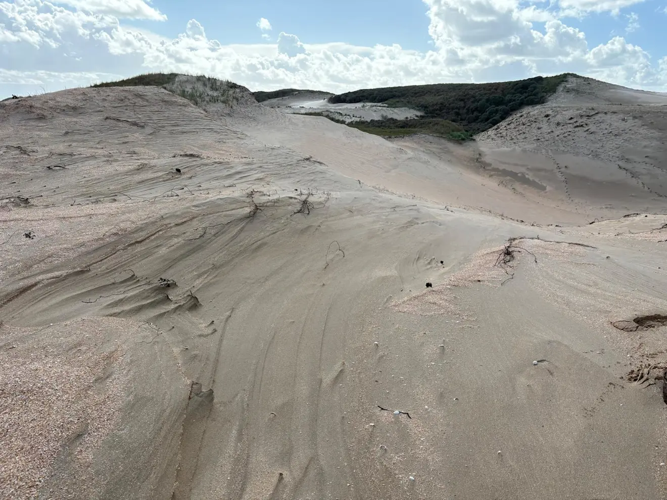 Door het binnenstuivende zand ontstaat nieuwe duinnatuur - Pieter Bliek