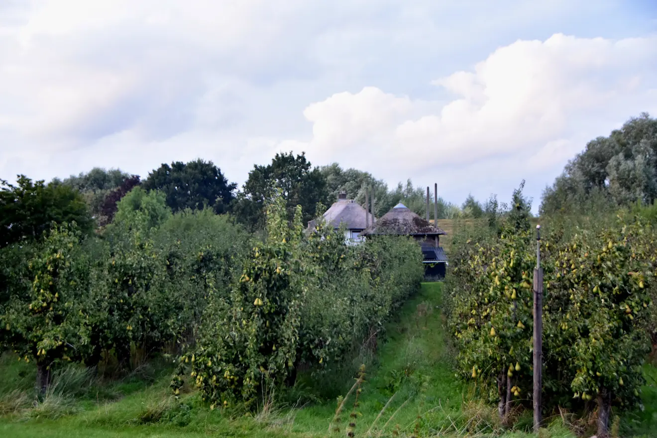 Mooie nazomeravond in Beusichem - Huibert Boon